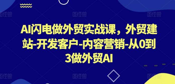 AI闪电做外贸实战课，​外贸建站-开发客户-内容营销-从0到3做外贸AI（更新）-蔚县浩瑞城网络工作室AIGC社区
